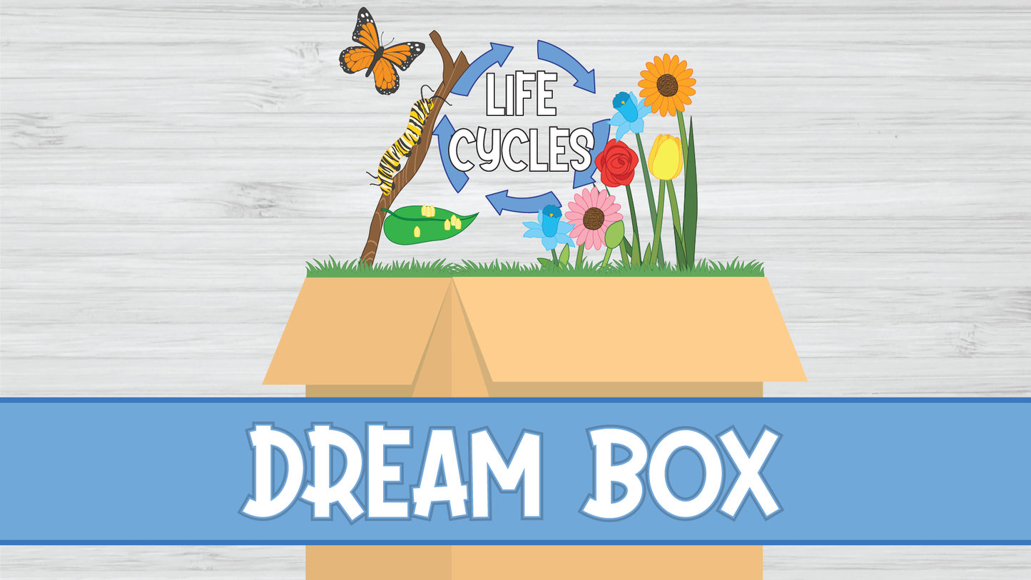 Limited Inventory DREAM BOX - Life Cycles ~ 0*