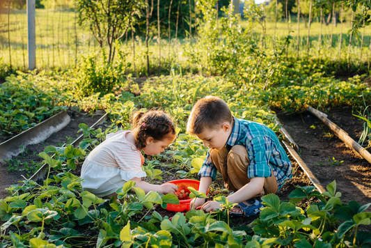 🌱 Growing Minds: The Developmental Power of Gardening in Preschool